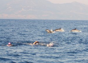 Charity Challenge Swimming Gibraltar strait